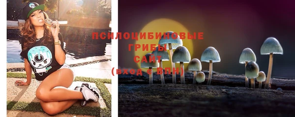 мдпв Бронницы