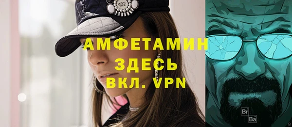 ECSTASY Бородино