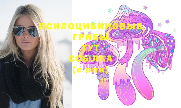ECSTASY Бородино