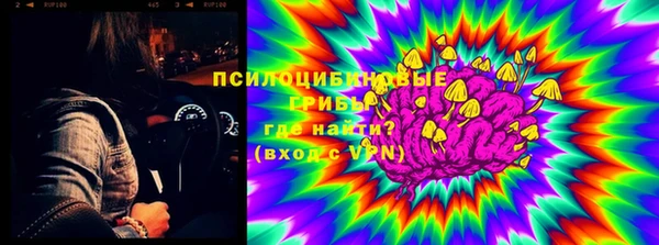ECSTASY Бородино