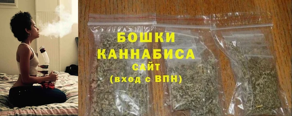 ECSTASY Бородино