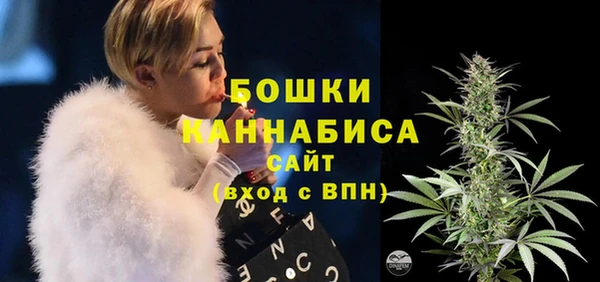 ECSTASY Бородино